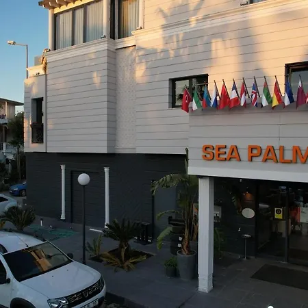 Sea Palm יאליקאבאק