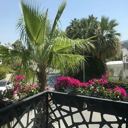 Sea Palm Szálloda