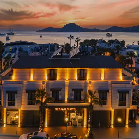 Hotel Sea Palm